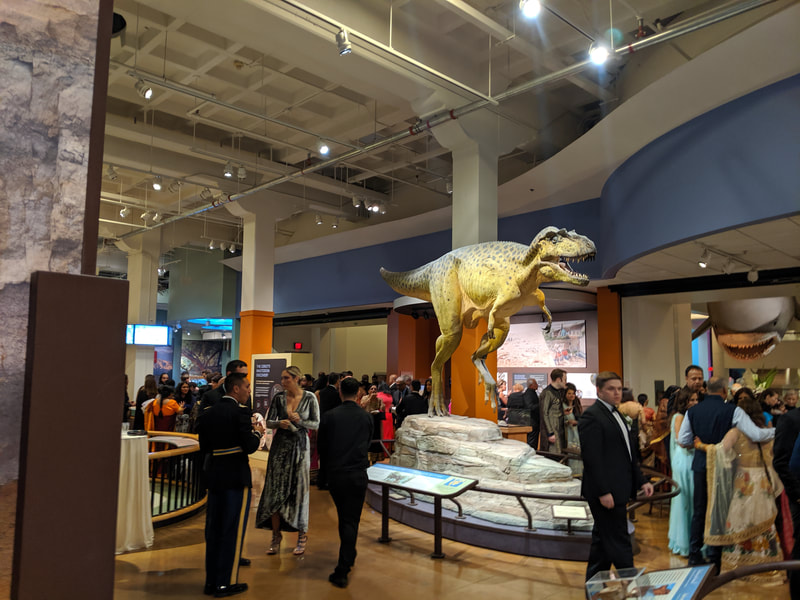 Wedding guests mingle at the Natural History Museum San Diego